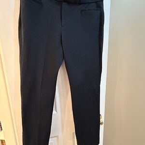 Jackson Fit Slim Navy Blue Pants – Size 8, 3/4 Length with Stretch